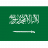 Lignosus - Icon Flag - Saudi Arabia